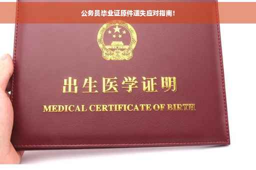 公务员毕业证原件遗失应对指南！