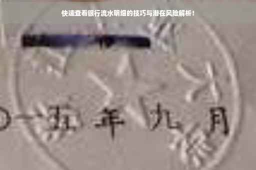 快速查看银行流水明细的技巧与潜在风险解析！