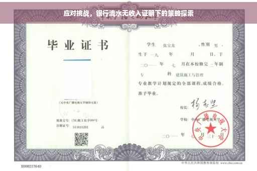 应对挑战，银行流水无收入证明下的策略探索