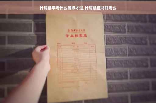 计算机学考什么等级才过,计算机证书能考么