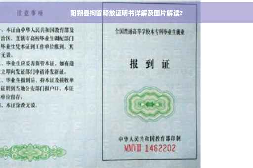 阳朔县拘留释放证明书详解及图片解读?