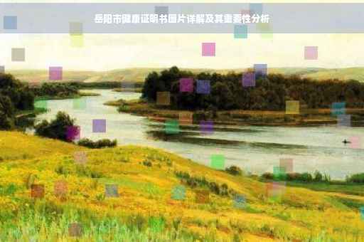 岳阳市健康证明书图片详解及其重要性分析