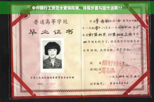 中兴银行工资流水查询指南，详细步骤与操作说明??