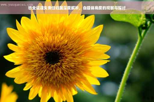 毕业证遗失责任归属深度解析，自媒体角度的观察与探讨