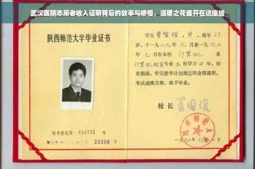武汉医院志愿者收入证明背后的故事与感悟，温暖之花盛开在这座城