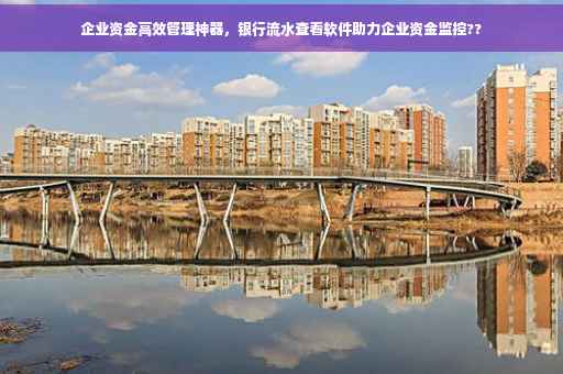 企业资金高效管理神器，银行流水查看软件助力企业资金监控??