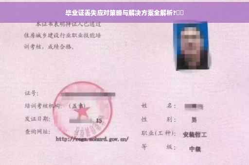 毕业证丢失应对策略与解决方案全解析?⚡️