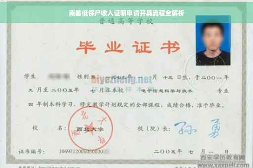 南昌低保户收入证明申请开具流程全解析