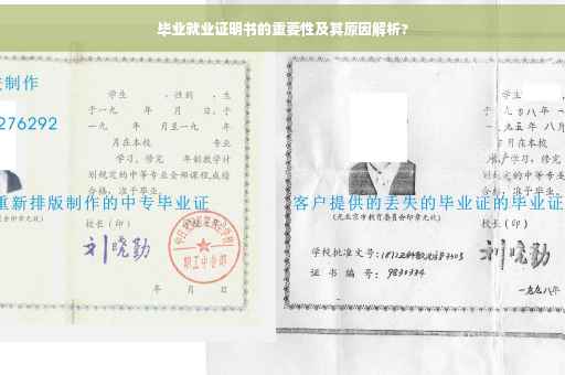 毕业就业证明书的重要性及其原因解析?