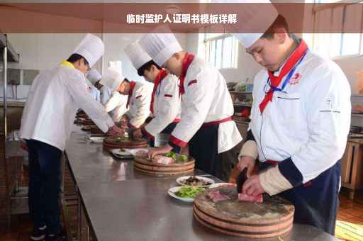 临时监护人证明书模板详解