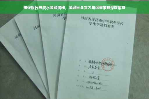 建设银行总流水金额揭秘，金融巨头实力与运营策略深度解析