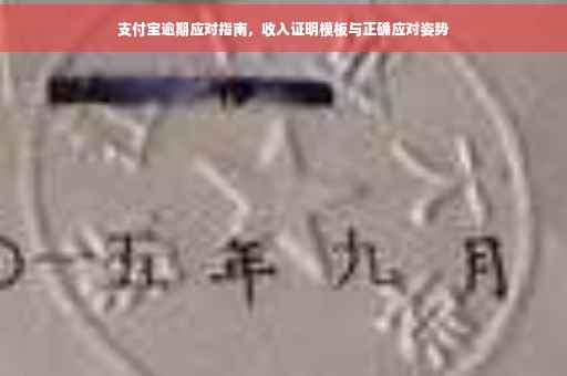 支付宝逾期应对指南，收入证明模板与正确应对姿势