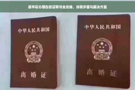 退学后办理在校证明书全攻略，详细步骤与解决方案