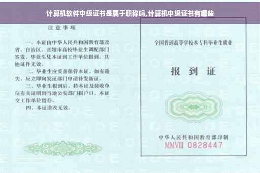 计算机软件中级证书是属于职称吗,计算机中级证书有哪些