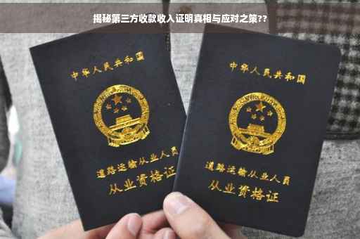 揭秘第三方收款收入证明真相与应对之策??