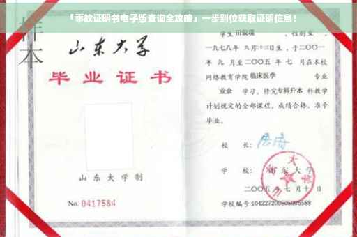 「事故证明书电子版查询全攻略」一步到位获取证明信息！