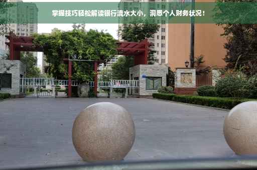 掌握技巧轻松解读银行流水大小，洞悉个人财务状况！