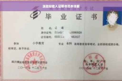 消防站收入证明书范本详解
