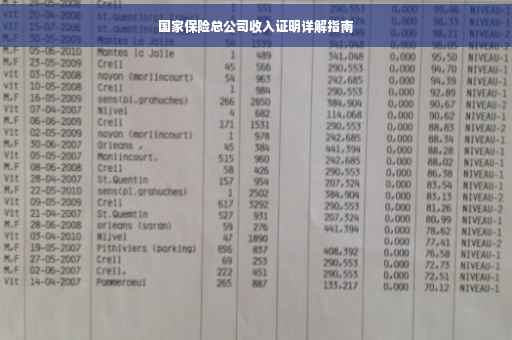 国家保险总公司收入证明详解指南