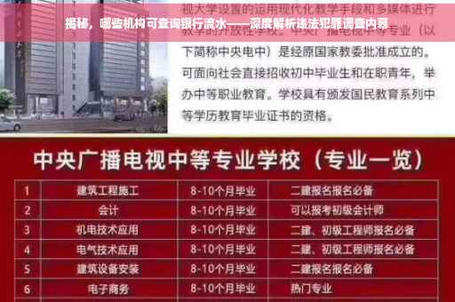 揭秘，哪些机构可查询银行流水——深度解析违法犯罪调查内幕