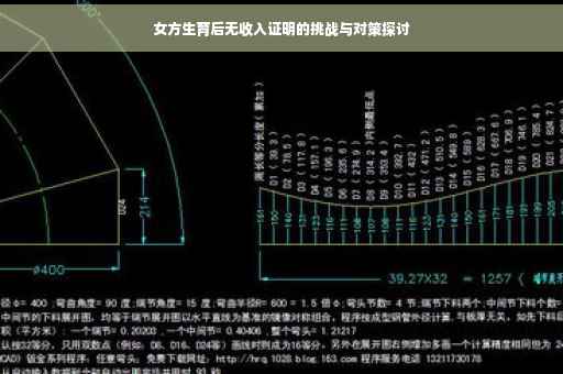 女方生育后无收入证明的挑战与对策探讨