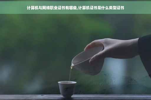 计算机与网络职业证书有哪些,计算机证书是什么类型证书