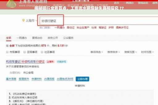 揭秘银行业务盲点，工资流水明细缺失真相探究 ??