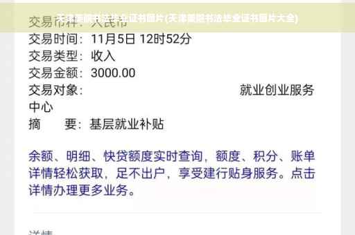 天津美院书法毕业证书图片(天津美院书法毕业证书图片大全)