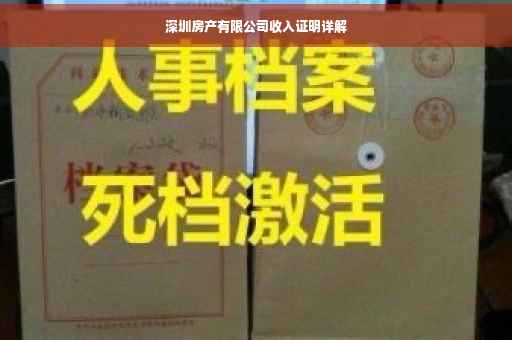 深圳房产有限公司收入证明详解