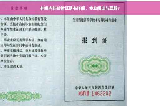 神经内科诊断证明书详解，专业解读与理解?