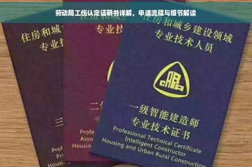 劳动局工伤认定证明书详解，申请流程与细节解读