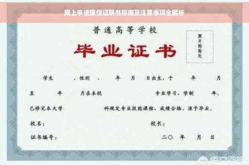 网上申请医保证明书指南及注意事项全解析