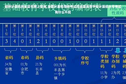初级计算机执业证书网上查询,全国计算机等级考试和全国高等学校计算机水平考试有什么不同