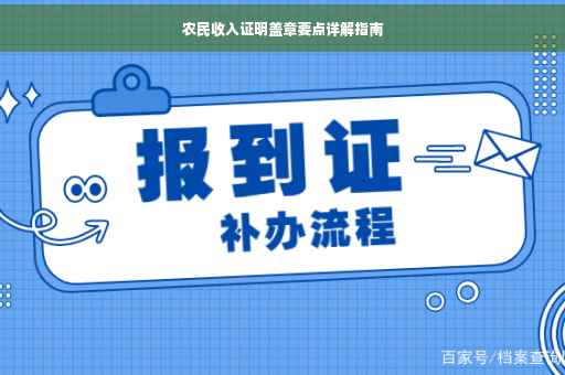 农民收入证明盖章要点详解指南