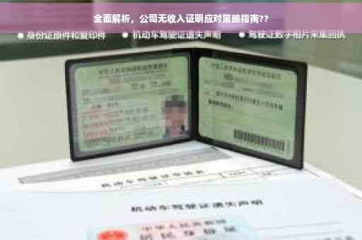 全面解析，公司无收入证明应对策略指南??