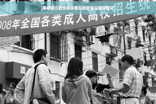 揭秘银行流水转账背后的故事与细节探究