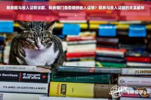税务局与收入证明详解，税务部门是否提供收入证明？税务与收入证明的关系解析。