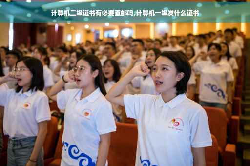 计算机二级证书有必要直邮吗,计算机一级发什么证书