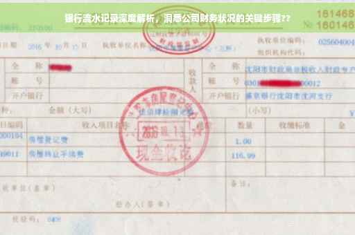 银行流水记录深度解析，洞悉公司财务状况的关键步骤??