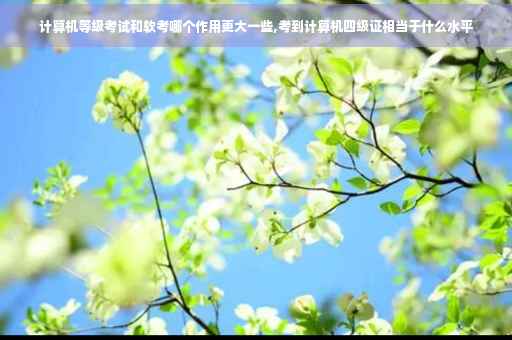 计算机等级考试和软考哪个作用更大一些,考到计算机四级证相当于什么水平