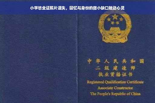 小学毕业证照片遗失，回忆与身份的微小缺口触动心灵