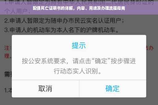 配偶死亡证明书的详解，内容、用途及办理流程指南