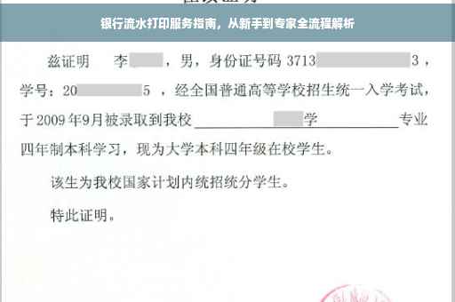 银行流水打印服务指南，从新手到专家全流程解析