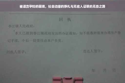 被遗弃孕妇的困境，社会边缘的挣扎与无收入证明的无奈之路