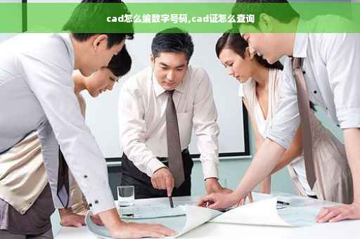 cad怎么编数字号码,cad证怎么查询