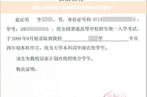 揭秘上海办事处人员的真实职场待遇与生活状态?✨