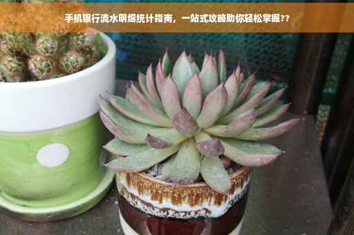 手机银行流水明细统计指南，一站式攻略助你轻松掌握??
