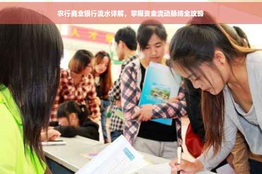 农行商业银行流水详解，掌握资金流动脉络全攻略