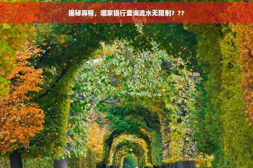 揭秘真相，哪家银行查询流水无限制？??