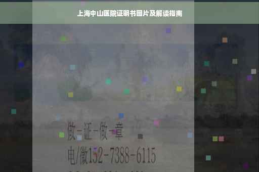 上海中山医院证明书图片及解读指南